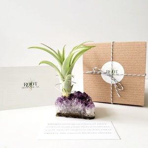 Amethyst Crystal Plant Holder with Air Plant, Hand Stamped Gift Box image 5