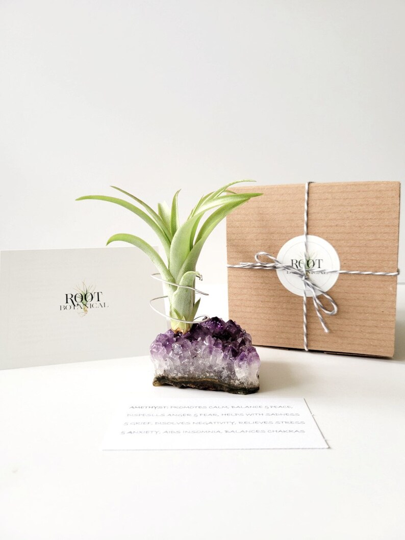 Amethyst Crystal Plant Holder with Air Plant, Hand Stamped Gift Box image 5