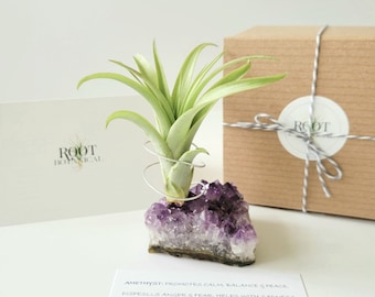 Amethyst Crystal Plant Holder with Air Plant, Hand Stamped Gift Box