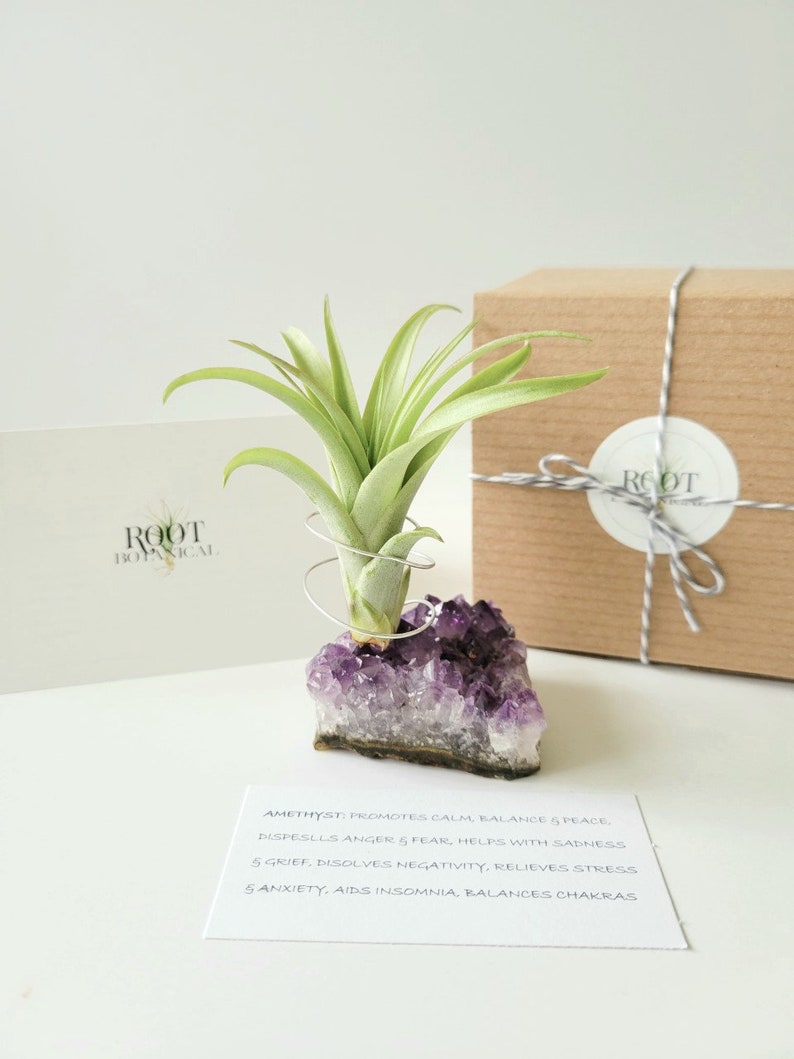 Amethyst Crystal Plant Holder with Air Plant, Hand Stamped Gift Box image 1