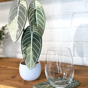Anthurium Warocqueanum Variegated Plant Coaster 3D Printed | Modern Plant Decor 4 Coasters | Cute and Functional Home Decor | Great for Desk
