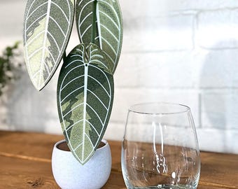 Anthurium Warocqueanum Variegated Plant Coaster 3D Printed | Modern Plant Decor 4 Coasters | Cute and Functional Home Decor | Great for Desk