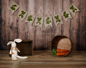 Wood Easter Spring Bunny Rabbit Carrots digital background backdrop rustic country