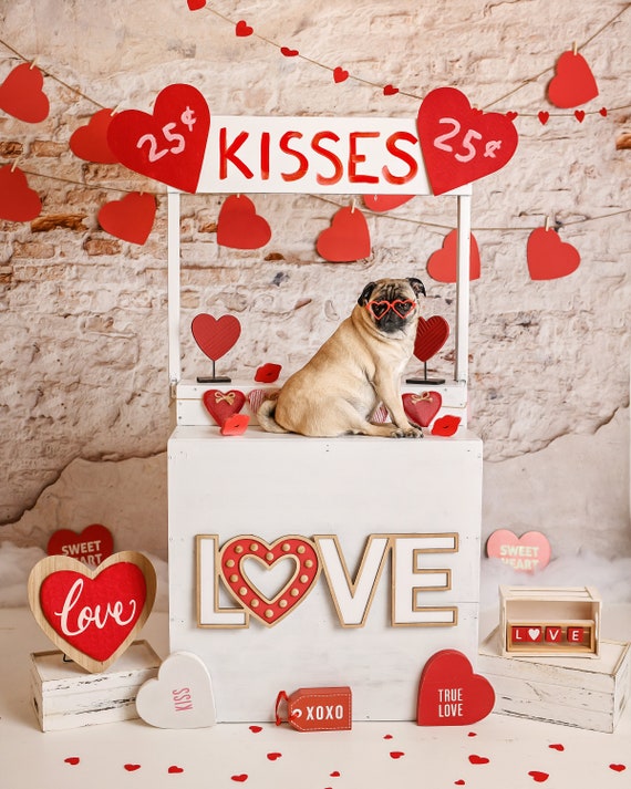 Pug Glasses/Sunglasses Case - Hearts Pug Glasses/Sunglasses Case - Hearts