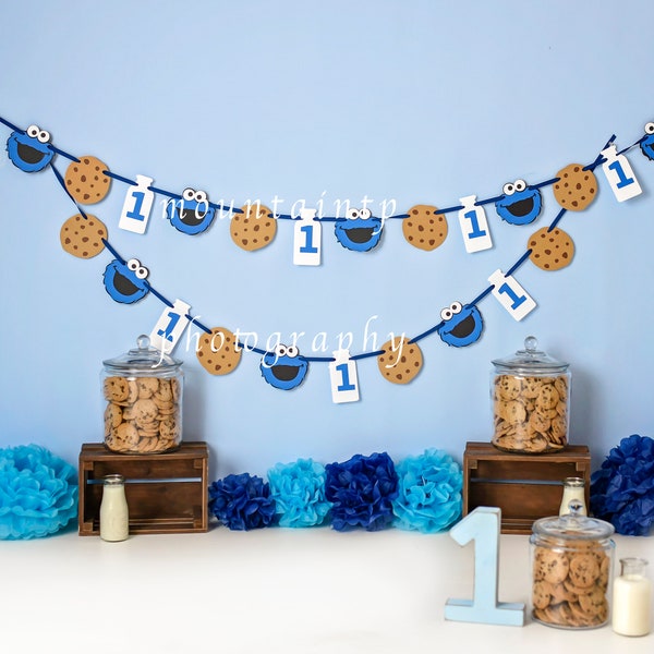 Cookie Monster Cake Smash 1st Birthday Digital Background Backdrop JPEG Download