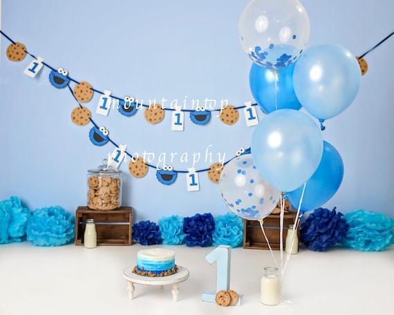 Cookie monster on sale 1st birthday decorations