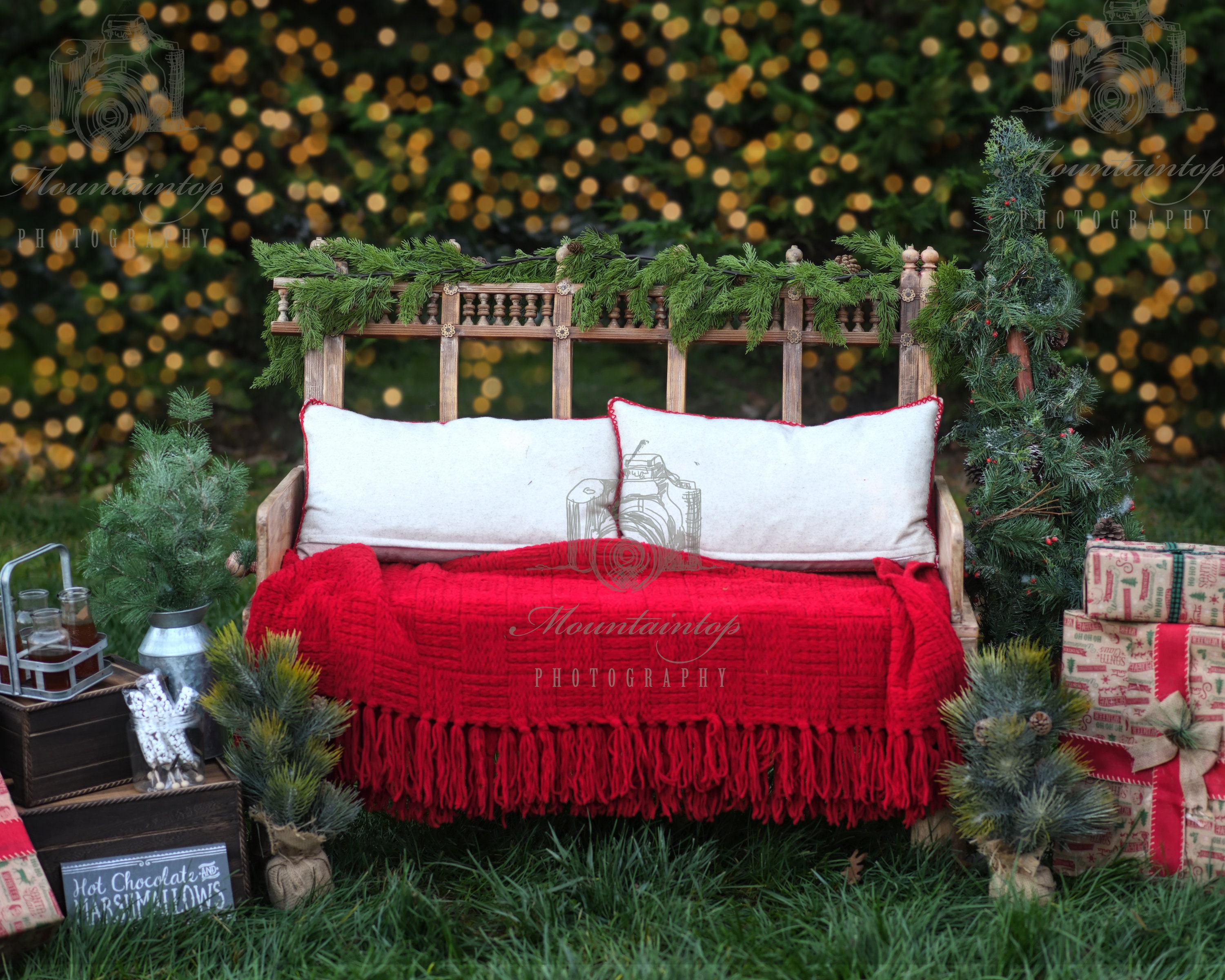 Rustic Bench Outdoor Holiday Christmas Lights Digital  Etsy Canada