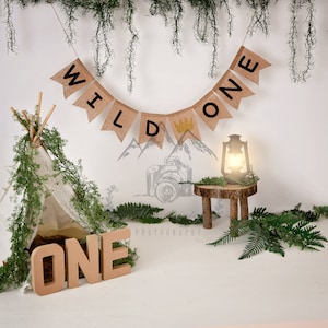 WILD ONE 1st BIRTHDAY Digital Backdrop Background photography template