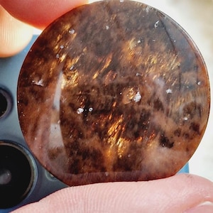 Peut inclure: Une pierre précieuse ronde et polie, de couleur marron riche avec des inclusions dorées. La pierre a une surface lisse et réfléchissante avec de petits points blancs. L'aspect général est chaleureux et terreux.