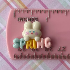 May include: A white bunny charm with pink cheeks and blue eyes holding a multi-colored word "SPRING" charm. The charms are on a pink ruler with inch markings.