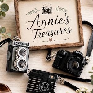 May include: An arrangement of miniature camera-shaped keychains, including a gray and black twin-lens reflex camera, and two black cameras. A framed sign with the text "Annie's Treasures" is in the background.