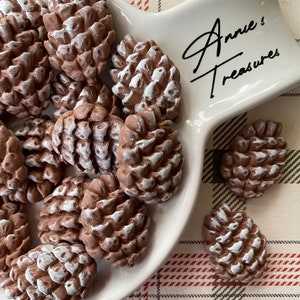 Pine cone cabochons | resin pine cones | fkatback large pine cones