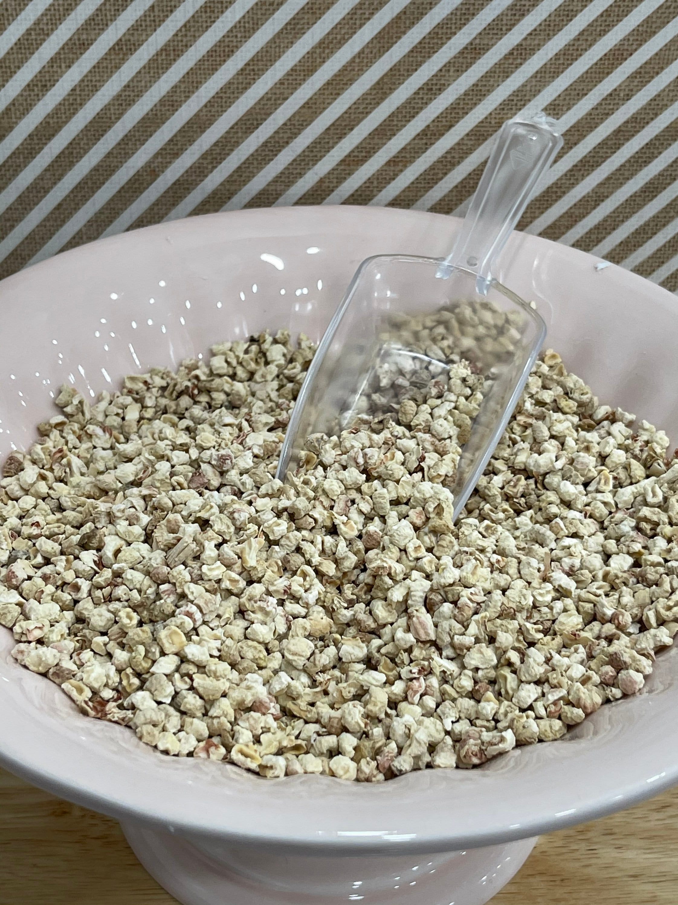 Fake nuts for fake baking realistic nuts pretend nuts for Etsy