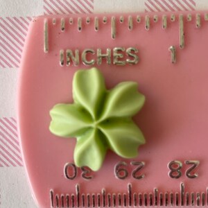 May include: A green five-pointed star-shaped embellishment, approximately 0.625 inches in diameter, is shown on a pink ruler with the word "INCHES" and the numbers "0", "62", and "82" visible.