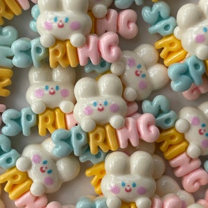 May include: Assortment of pastel-colored resin bunny charms with the word "Spring" spelled out in different colors. The charms are perfect for adding a touch of whimsy to crafts and projects.