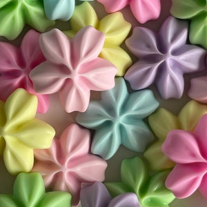May include: Assortment of pastel-colored star-shaped wax melts in various colors, including light blue, pink, purple, green, and yellow.