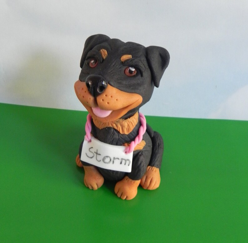 dog safe fondant