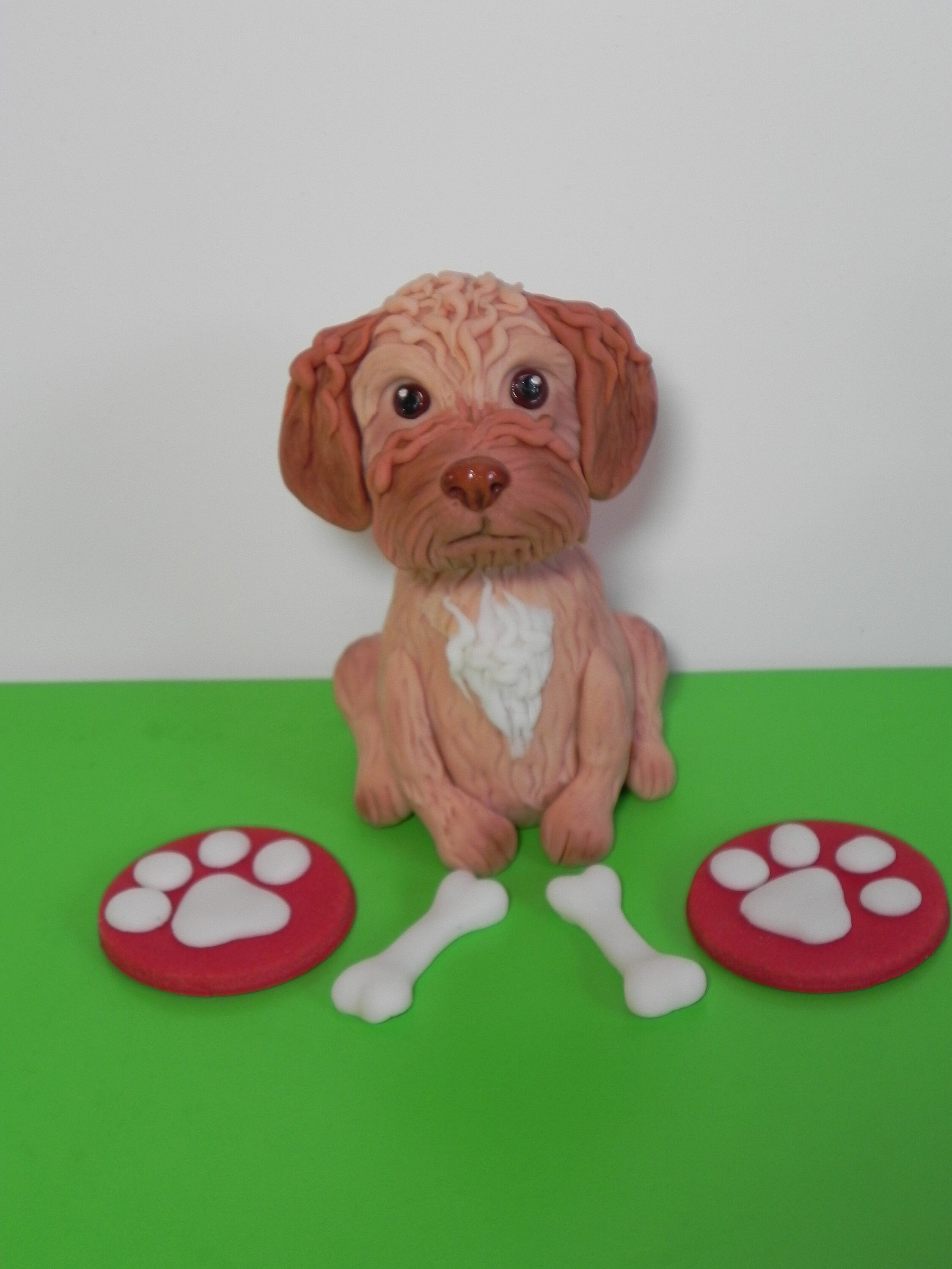 fondant cockapoo
