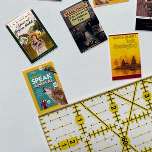 Op de afbeelding: Een verzameling miniatuur boekomslagen met verschillende titels, waaronder "Anne of Green Gables", "Tom Sawyer & Huckleberry Finn", "Hoe met dieren te praten", "Tuck Everlasting" en "De schattigste dieren op de planeet".