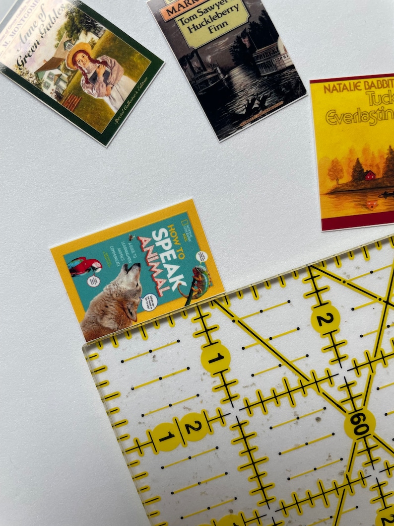Op de afbeelding: Een verzameling van vijf paperback boeken, waaronder "Anne of Green Gables", "De avonturen van Tom Sawyer", "Hoe met dieren te praten" en "Tuck Everlasting". De boeken zijn gerangschikt op een wit oppervlak met een gele liniaal.