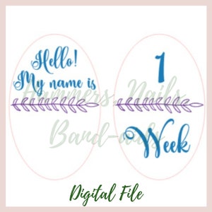 Ensemble de vigne bébé jalon mois et semaine ensemble pour Baby Shower png, svg, Cut Image, Glowforge, INSTANT DOWNLOAD, State Outline