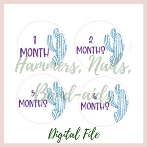 Ensemble de Cactus Baby Milestone Mois et Semaine Set pour Baby Shower png, svg, Cut Image, Glowforge, INSTANT DOWNLOAD, State Outline