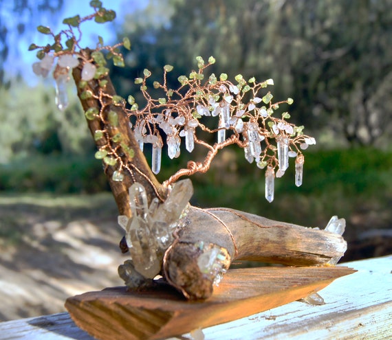 Gem Tree Money Tree Etsy - image 0