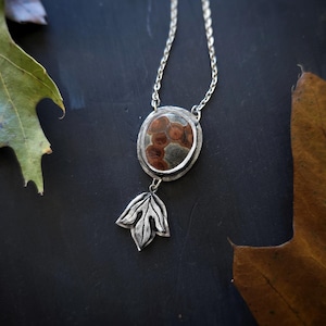 May include: A silver necklace with an oval pendant featuring a brown and gray stone. Below the pendant is a silver leaf design. The necklace is displayed on a dark surface with autumn leaves.