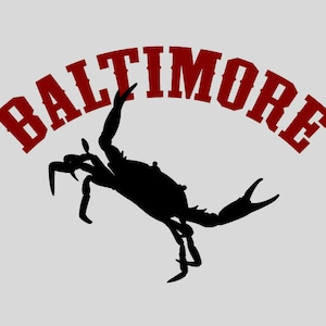 Hang in there, Baltimore Tshirt - Men's