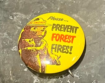Vintage Smokey the Bear Snälla förhindra skogsbränder av Green Duck Chicago metallknapp