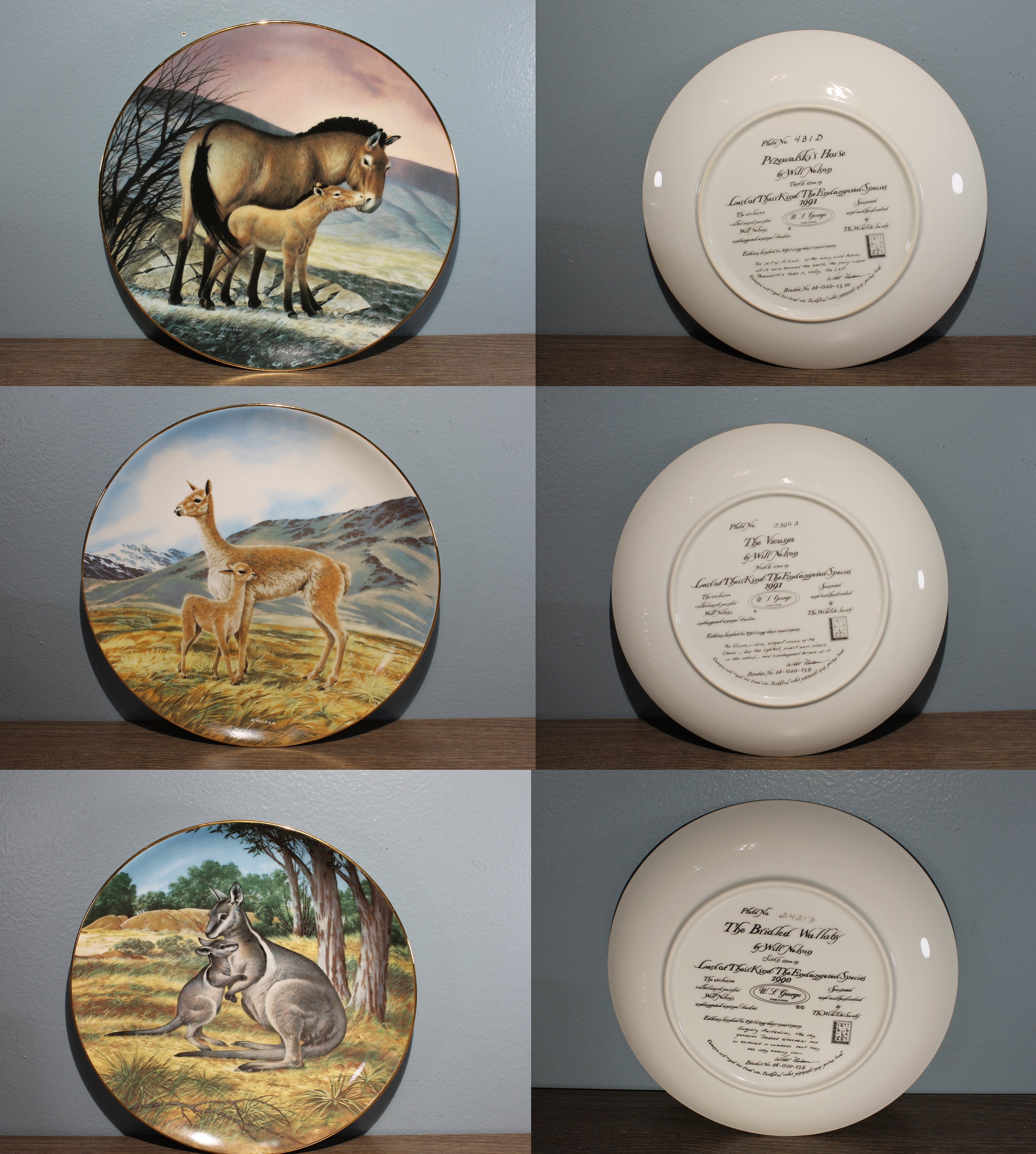 Vintage 1980s-1990s Set of 10 Will Nelson Last of Their Kind