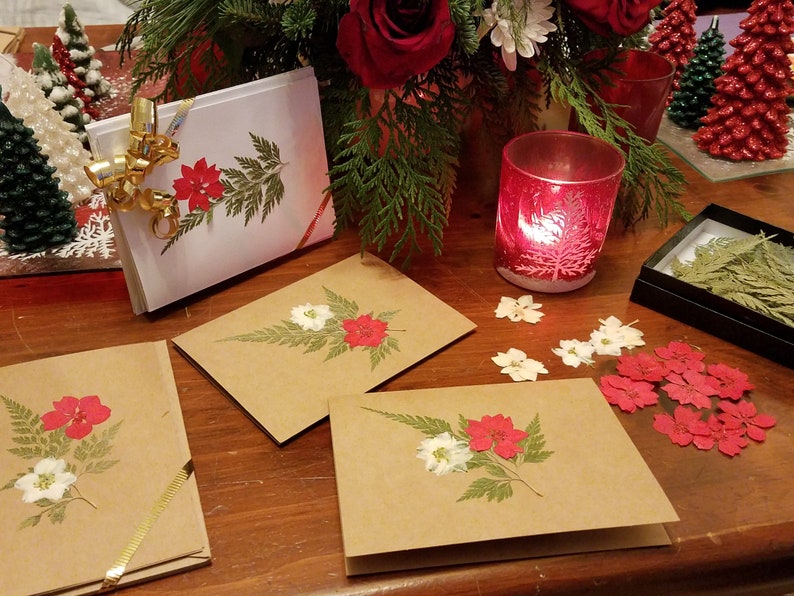 Assorted Red Larkspur /& Cedar Note Cards Set of 4