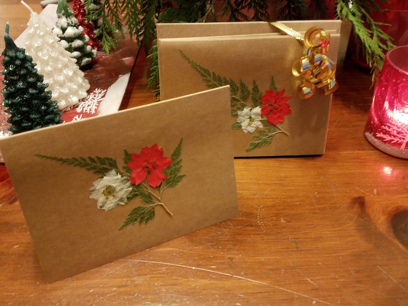 Assorted Red Larkspur /& Cedar Note Cards Set of 4