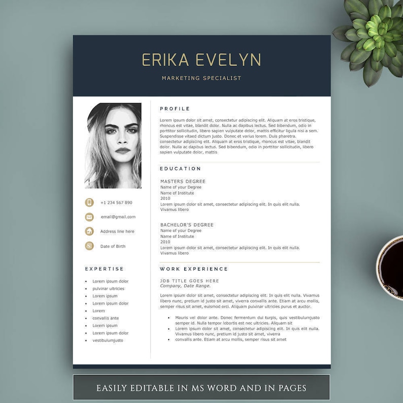 Resume Template 3 in 1. Instant Download. Professional Resume Template. Modern Resume Template, Professional CV Template. Resume Bundle image 2