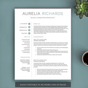 Resume Template 3 in 1. Instant Download. Professional Resume Template. Modern Resume Template, Professional CV Template. Resume Bundle image 3