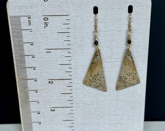 Unique Agatized Bogwood Triangular Dangle Earrings