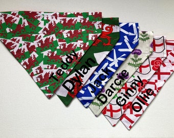 Six fest 2026kanne Männer und Frauen Bandanas