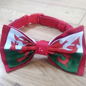 Welsh Flag Hundfluga