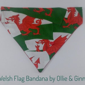 May include: A red, white and green bandana with a dragon pattern. The bandana is folded into a triangular shape and has a button on the front. The text "Welsh Flag Bandana by Ollie & Ginny" is printed below the bandana.