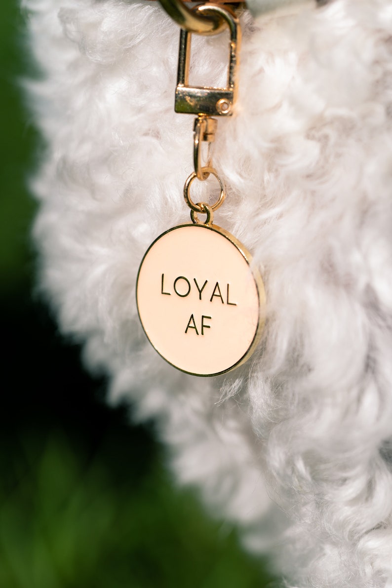 Enamel Dog Tag laser engraved Loyal AF Custom Pet ID, keychain, cat tag image 1