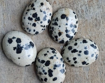 Natural Dalmatian Jasper Oval Cabochon: Calibrated Loose Gemstone (3x5mm To 13x18mm)