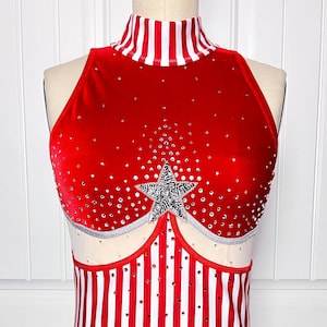 Big Top Tent Circus Costume, Aerial Dance Leotard - Ready to Ship