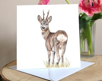 Puede incluir: Una tarjeta de felicitación con un dibujo a lápiz detallado de un ciervo marrón y blanco con cuernos, de pie en un campo de hierba.