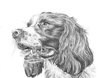 Personalised Pet Portrait hand-drawn from your photos, Custom pet portrait