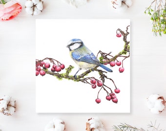 Bluetit Greetings Card -winter bluetit card - garden birds card - blank greetings card