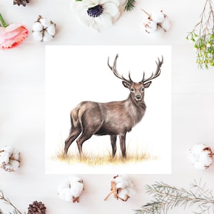 carte de cerf, carte de vœux de cerf, carte de jeu, carte de chasse au cerf, saison du gibier,