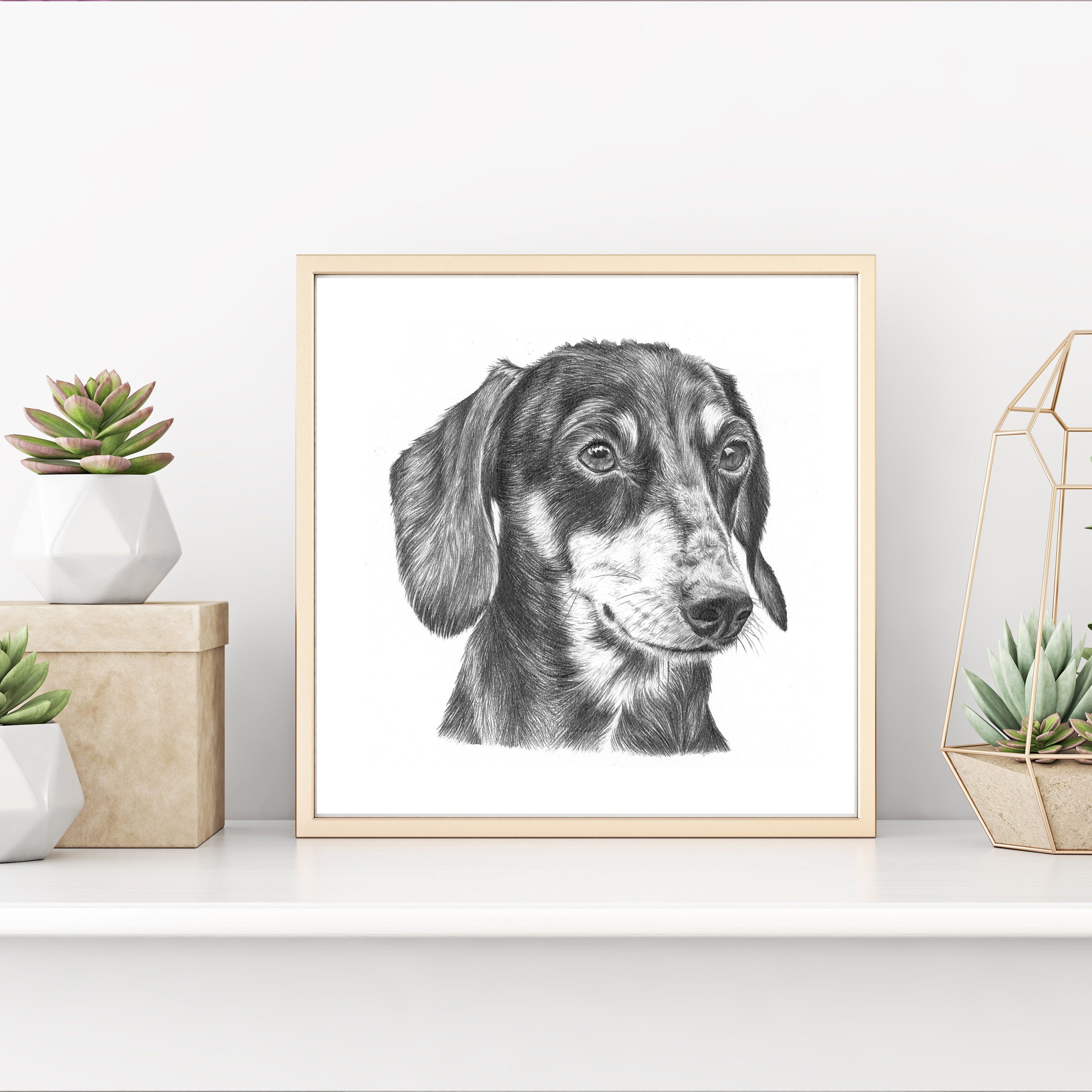 Custom pet portrait Hand Drawn Pet Portrait Pet drawing Etsy