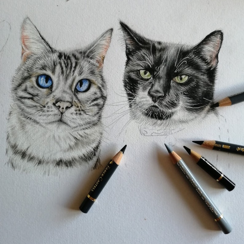 May include: A detailed pencil drawing of two cats. One cat has gray and white striped fur and blue eyes. The other cat is black and white with green eyes. Several pencils are scattered around the drawing.
