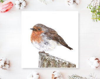 Robin greetings card - birds card - robin garden bird cards - blank card