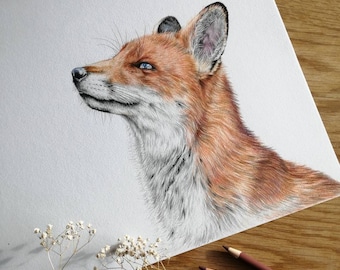 Original fox drawing